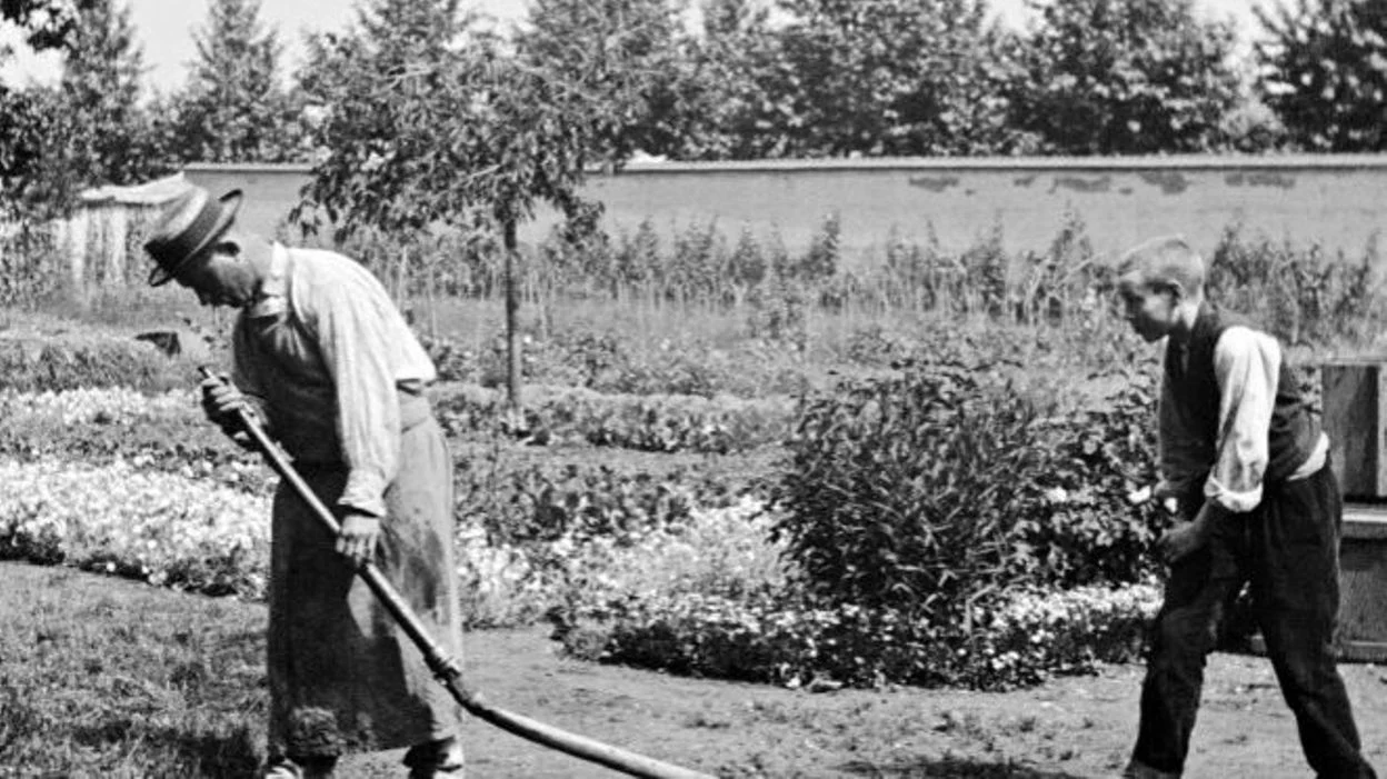 cdc0a4cc92bd4e0b54a36c99415c27a0 14806875941